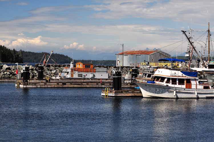harbor scene